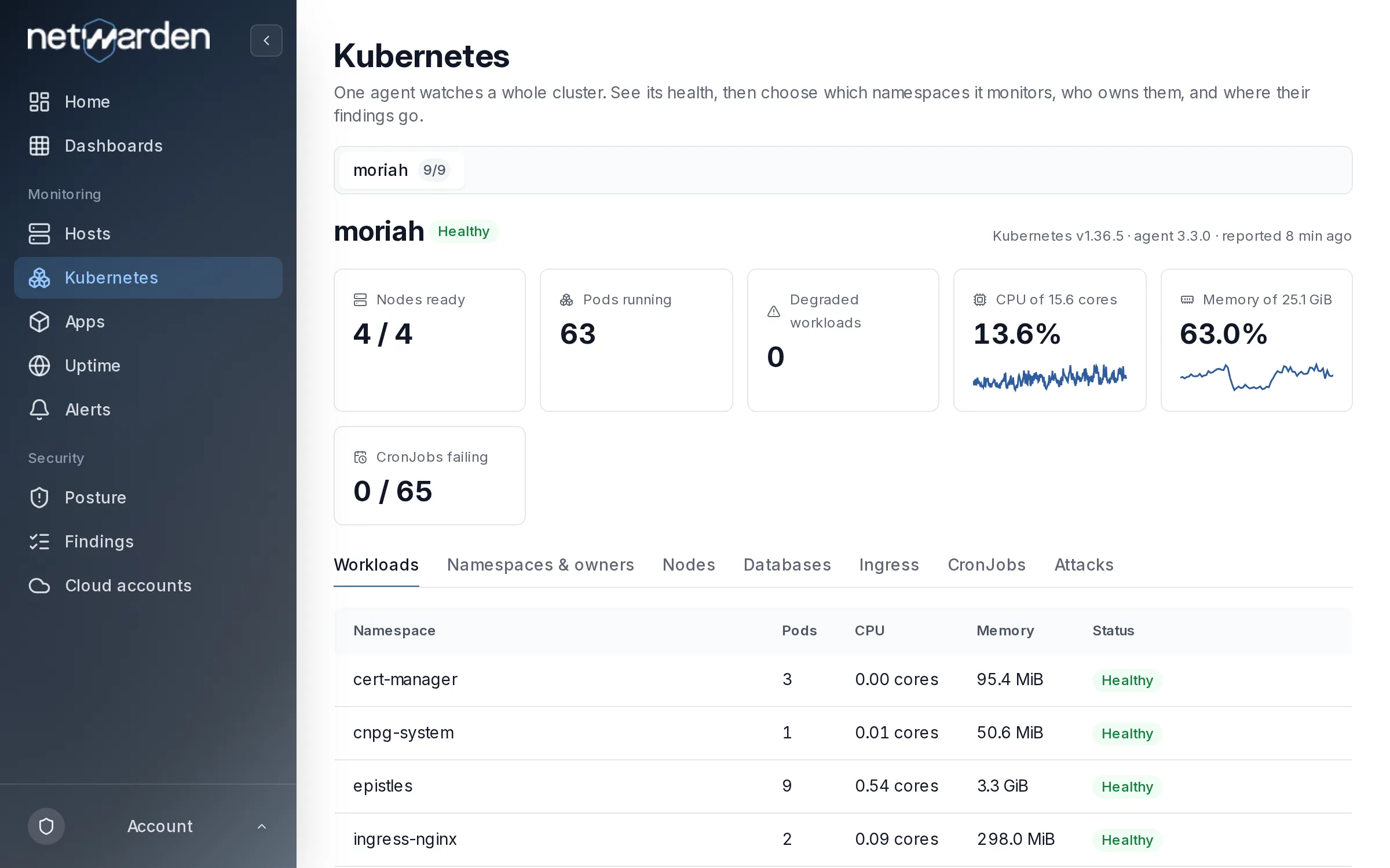 A Kubernetes cluster in Netwarden: nodes, workloads and their health.